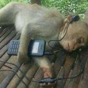 Meet your Posher, Carlos